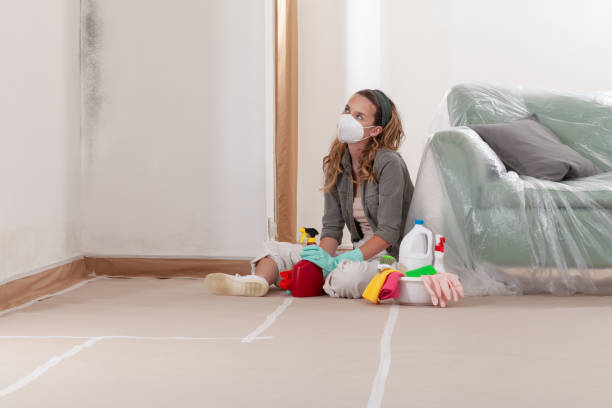 Reliable Mold Removal contractor in Lusby, MD by WQB Mold Removal